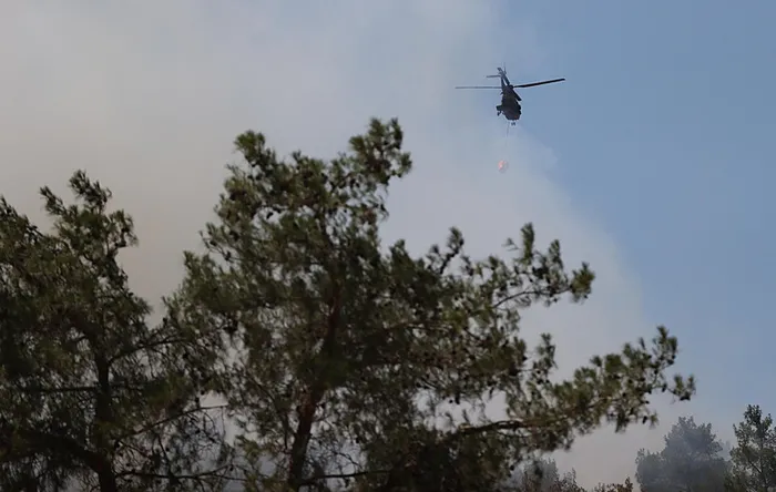 izmirde-ormanlik-alanda-yangin-havadan-ve-karadan-mudahale-basladi-1719666610024.jpg İzmir'deki 3 yangın kontrol altına alındı! Bakan Yumaklı yangınların çıkış nedenini açıkladı - 19