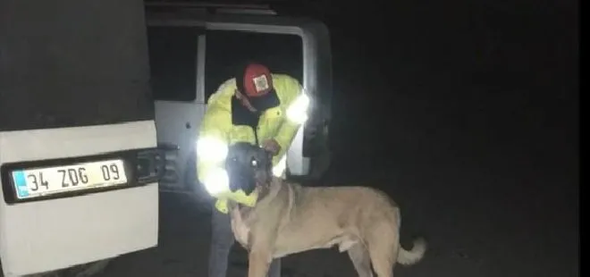 Ormanlık alanda kanlı bahis: 25 gözaltı