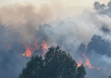 Afyonkarahisar'da dağlık alanda yangın