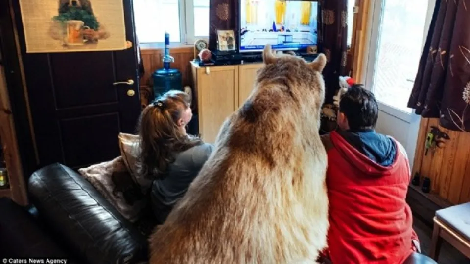 Rus aile evlerinde ayı besliyor