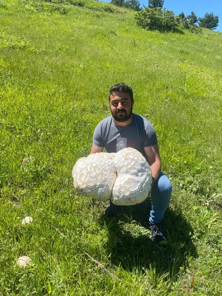 Sivas’ta yürüyüşe çıkan iki arkadaş buldu: Kaya sandılar gerçek bambaşka çıktı