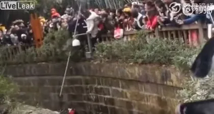Ayı evin bahçe kapısını kırıp içeri girdi! Havuz başında uyuyan adam...