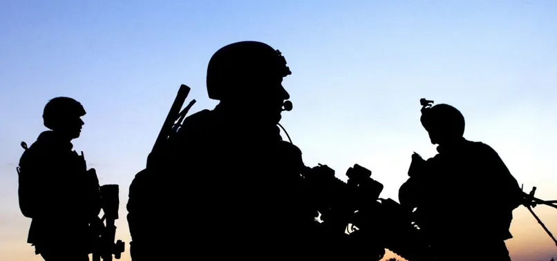 Şırnak'ta 2 terörist teslim oldu