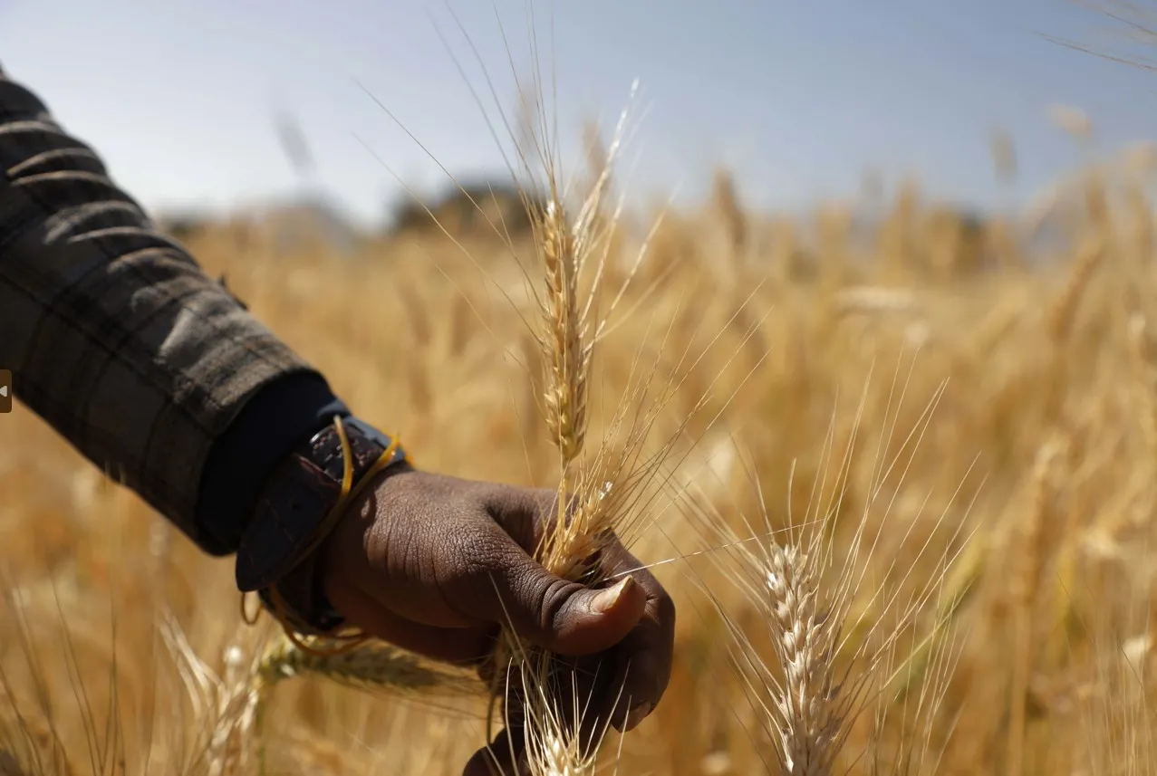 Çiftçilere 2023 yılında 63,4 milyar lira tarımsal destekleme ödemesi yapıldı