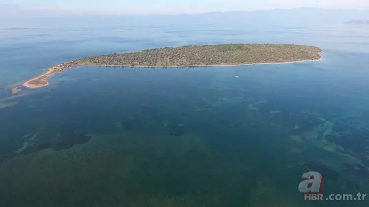 Hülya Avşar'ın hayali suya düştü! Çiçek Adası için rekor fiyat 7
