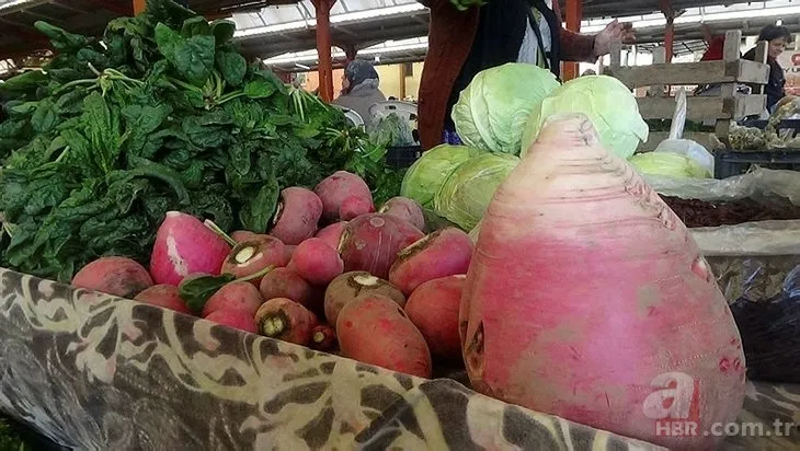 Patlıcan tohumu ekti hayatının şokunu yaşadı! Görenlerin ağzı açık kaldı... 9