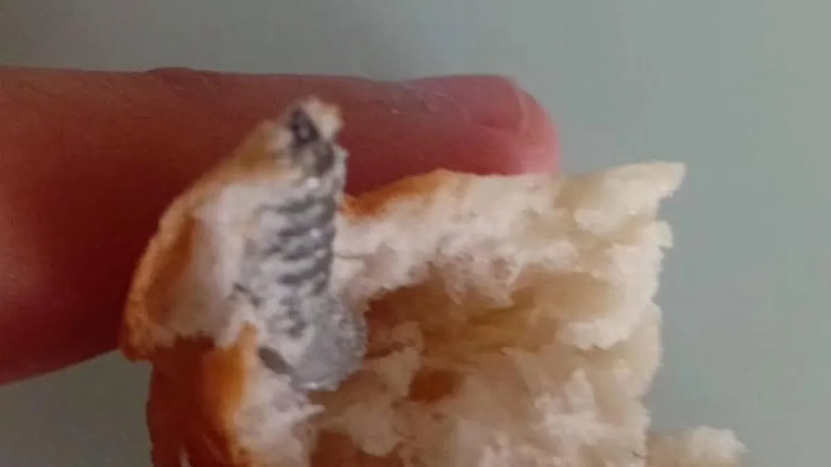 Elazığ'da ekmekten çıkan şoke etti: Görünce neye uğradığını şaşırdı