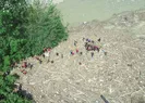 Hükümetten Düzcedeki sel felaketiyle ilgili açıklama