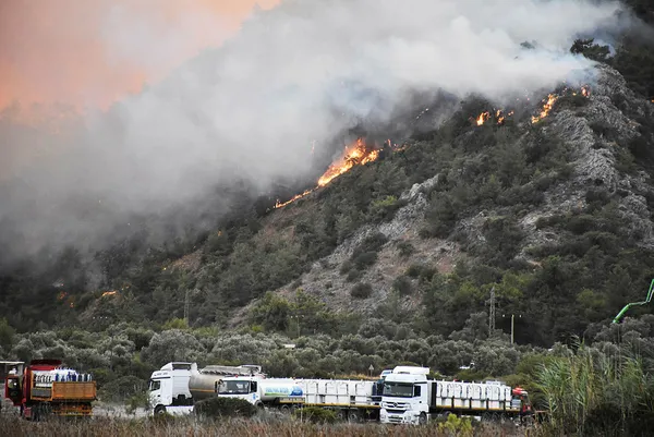 Yangın bölgelerine ilişkin sosyal güvenlik prim borçlarına erteleme kararı: Bakan Vedat Bilgin’den son dakika açıklaması