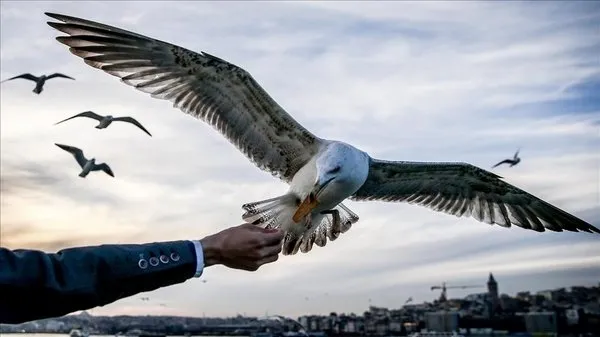 Bayramda hava nasıl olacak? Meteoroloji'den İstanbul dahil birçok ile flaş uyarı - 1