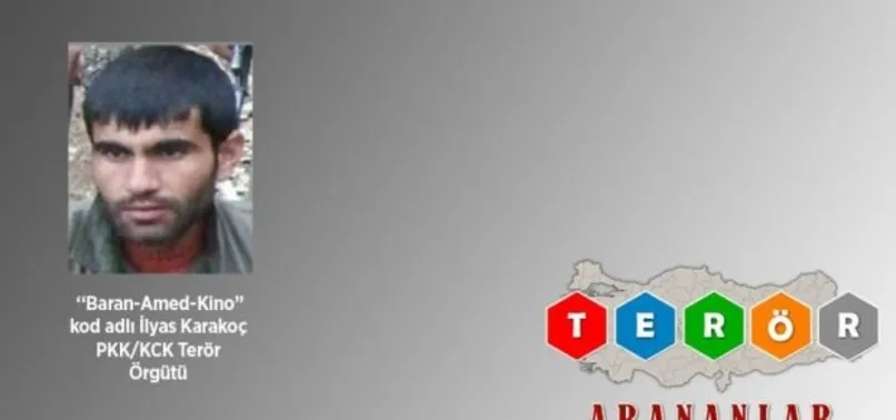 Gri listedeki terörist öldürüldü