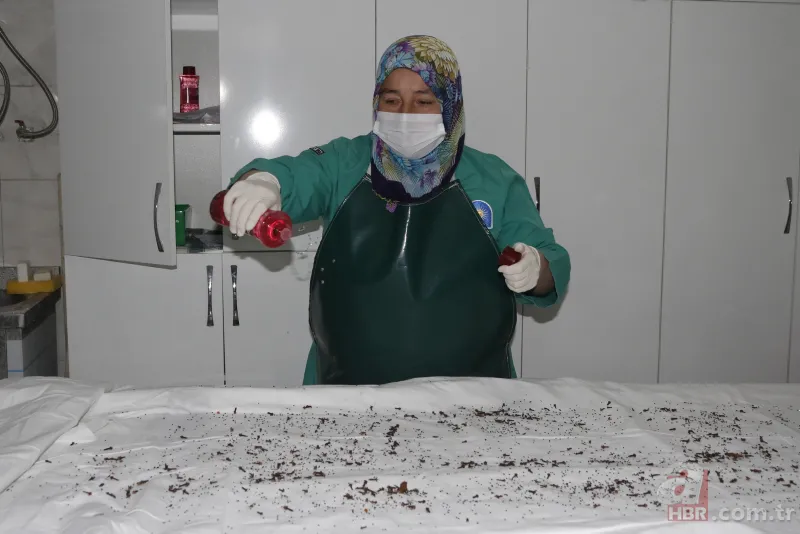 Mesleğini duyan korkuyor! Eşi 15 gün kapıda onu bekledi 5