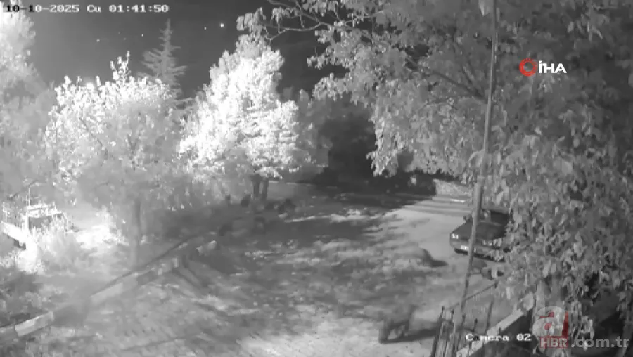 Tatil cennetinde şoke eden manzara! Mahalle muhtarı: Gözlerime inanamadım 5