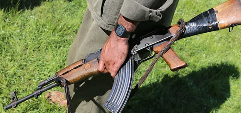 Almanya'da PKK endişesi