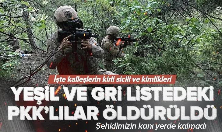 Son dakika! Bakan Soylu: Biri yeşil, biri gri kategoride 2 PKK’lı öldürüldü! İşte teröristleri kirli sicilleri