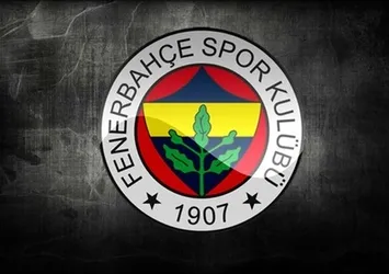 Gregory van der Wiel özür diledi