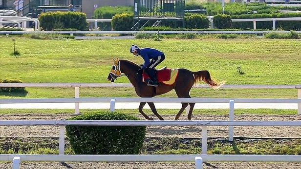 Ahmet Çelik kimdir? Gazi Koşusu kazananı Ahmet Çelik kimdir, kaç yaşında, nereli?
