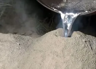 Karıncalar inşa etti! Bilim adamları o görüntülere inanamadı