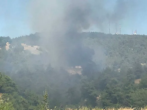 Son dakika: Çanakkale'de orman yangını - 1