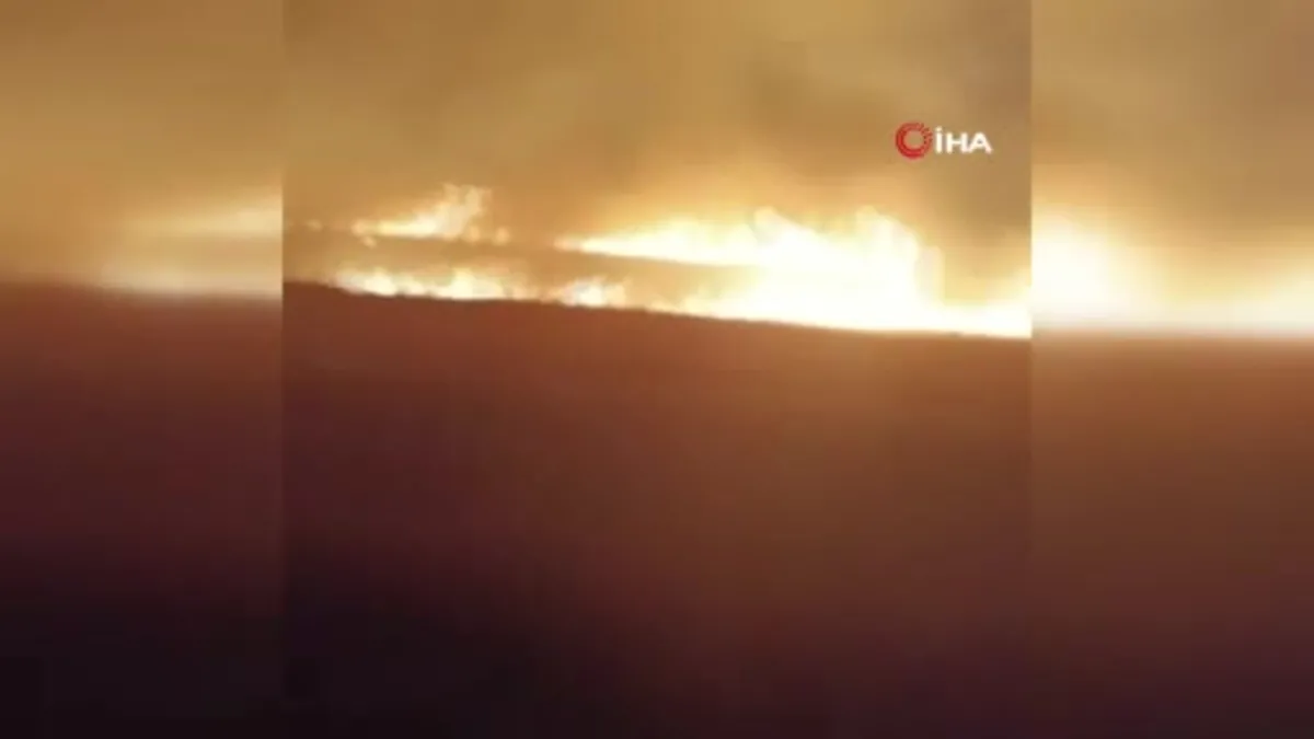Konya'da arpa ekili arazi alev alev yandı
