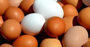 Sofralık yumurta ihracatına muafiyet düzenlemesi