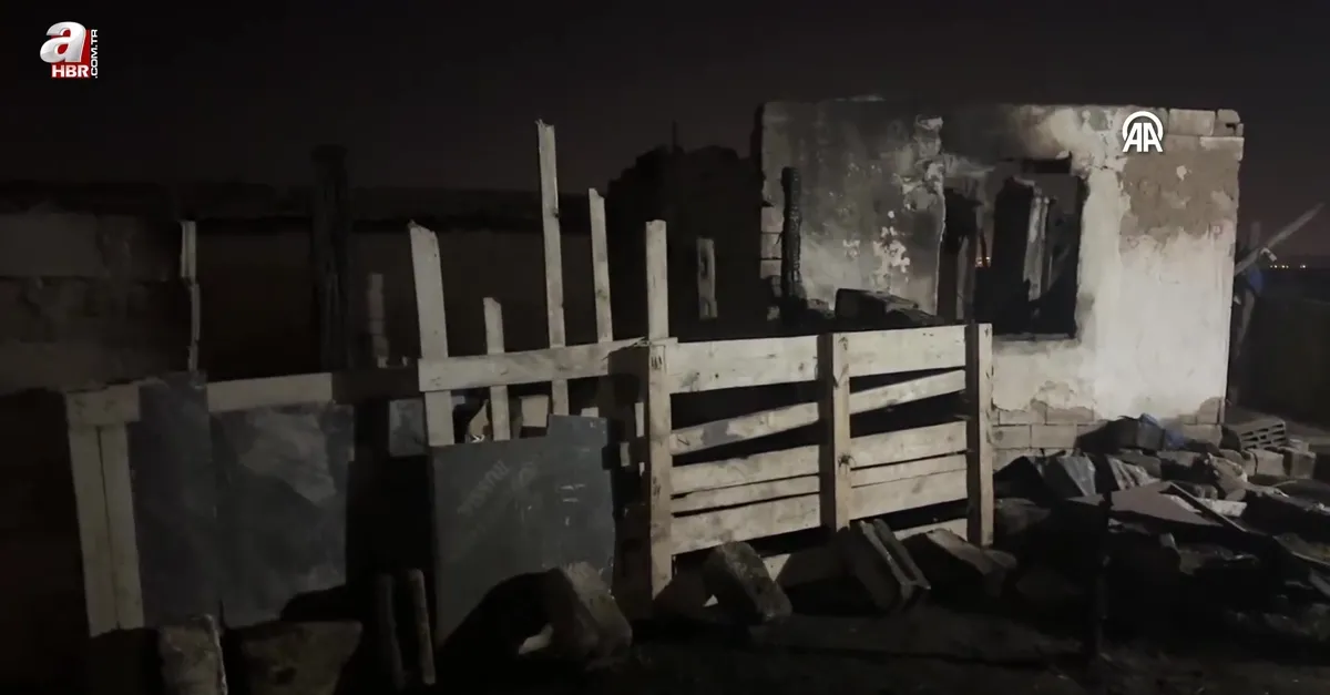 Niğde'de ahırda çıkan yangında 170 koyun telef oldu