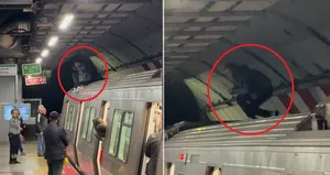 Metro durağında şoke eden anlar! Metronun üzerine çıktı