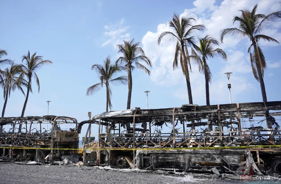 El Mencho nasıl yakalandı? En çok aranan uyuşturucu baronuna "sevgili tuzağı" 10