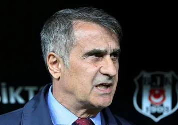 Şenol Güneş'ten 'Mitrovic' açıklaması