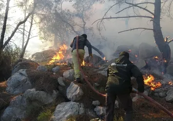Tarım ve Orman Bakanı İbrahim Yumaklı'dan yeni istihdam müjdesi!