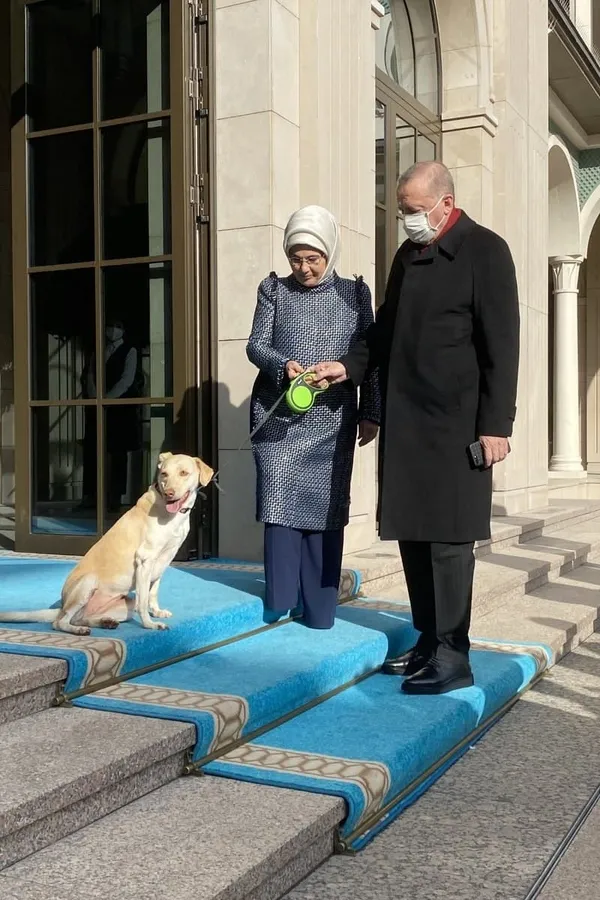 Başkan Erdoğan'ı her sabah mesaiye uğurluyor! Yürekleri ısıtan kare - 3