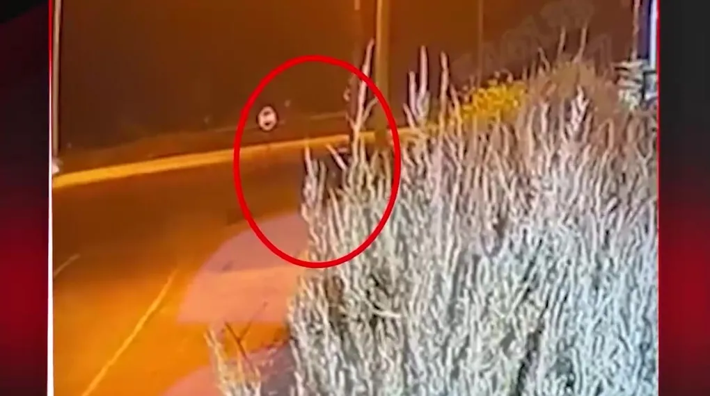 ‼️ GENÇ KIZA VİCDANSIZCA ÇARPIP KAÇTILAR