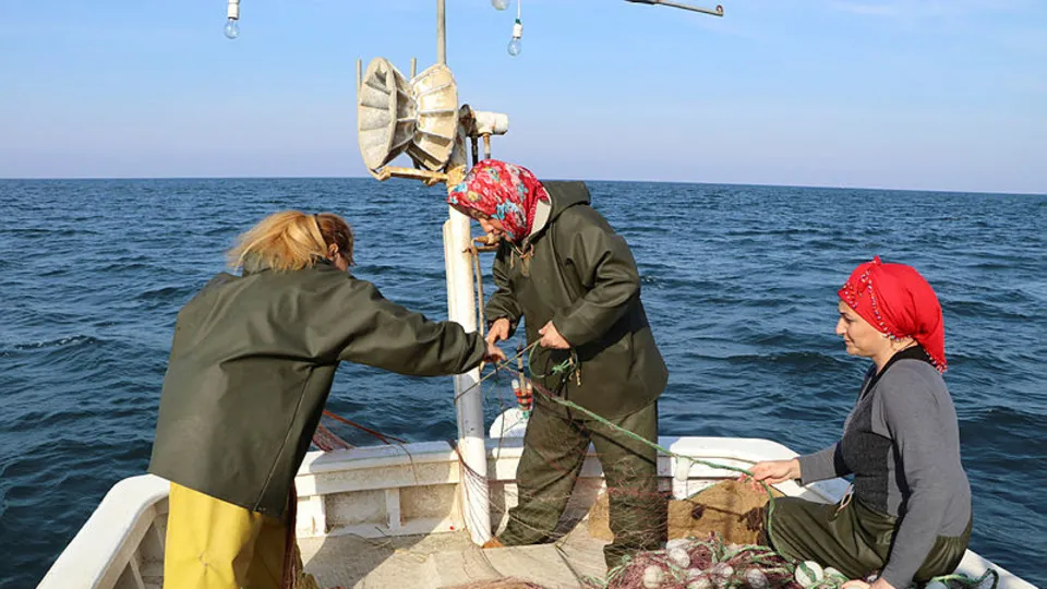 Rize'nin kadın balıkçıları