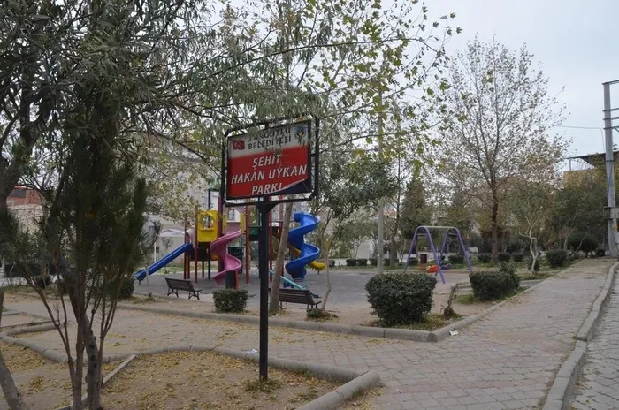 Kedi vahşetinde yeni gelişme! Zanlının evinden çıkanlar şoke etti - 1