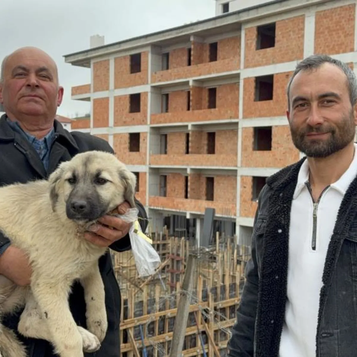 Baba oğul, çatıda ölümün eşiğindeki yavru köpeği kurtardı