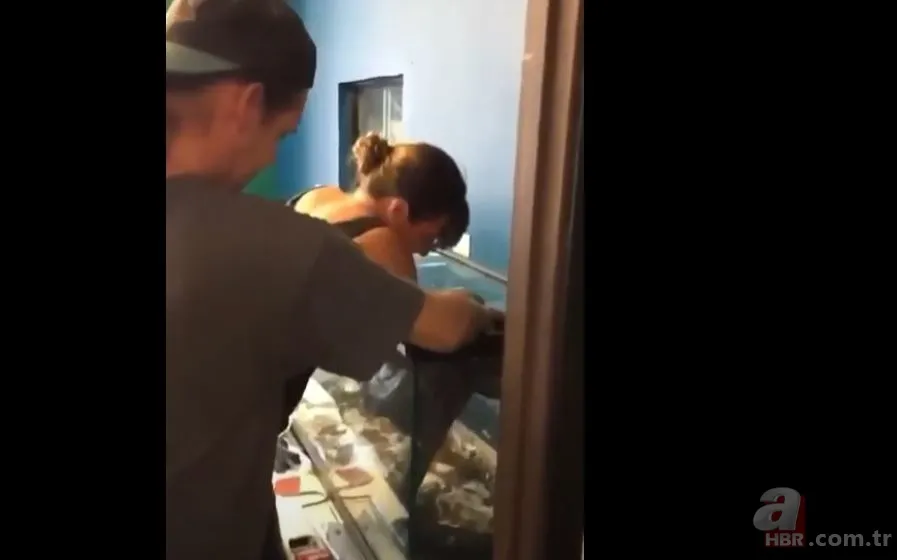 Her şey bir anda oldu! Dev piton yılanı bakıcısına böyle saldırdı 9