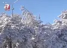 Kar yağışı yurdu etkisi altına aldı!