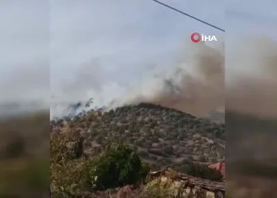 Bozdoğan’da orman yangını