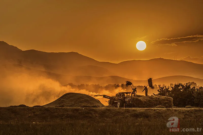 1 Mayıs'ta ne oldu? 1 Mayıs İşçi Bayramı nasıl ortaya çıktı? Emek ve Dayanışma Günü ne zaman resmi tatil oldu? 18