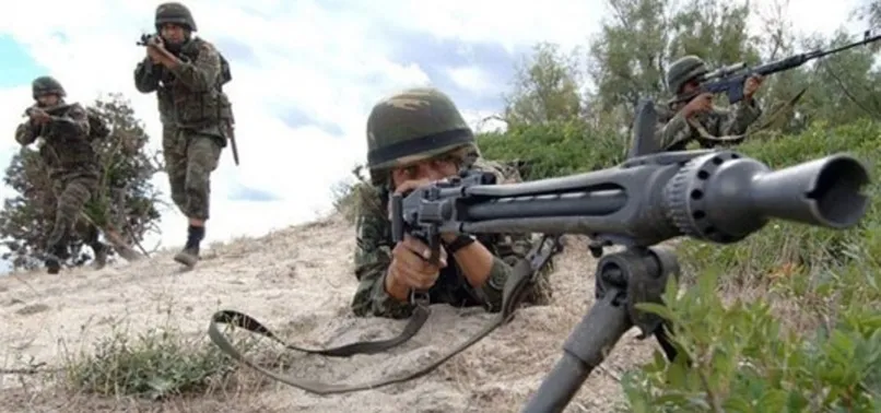 Şırnak'ta PKK'ya darbe: 2 terörist etkisiz hale getirildi! Yaşam malzemesi ele geçirildi