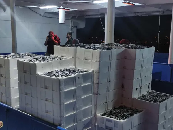 1671336562820.jpg Balıkçılar limana kasalar dolusu hamsiyle döndü! Vatandaşlara ücretsiz dağıttılar - 2