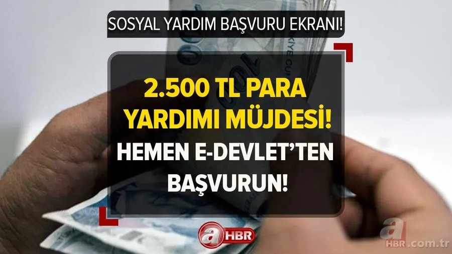 e-Devlet'ten başvuran PTT'den nakit çekebilecek! Ödemeler arttı! 2.500 TL'ye kadar hane başına para yardımı! İşte başvuru ekranı 1