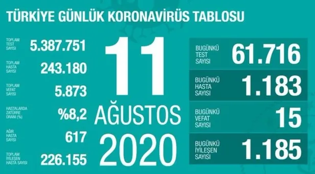 14 Ağustos koronavirüs tablosu: Türkiye’de corona virüsü vaka sayısı kaç oldu? Koronadan kaç kişi öldü?