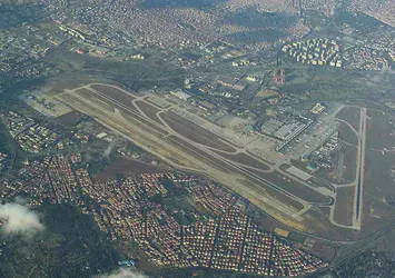 Atatürk Havalimanı arazisine 3 milyon ağaç