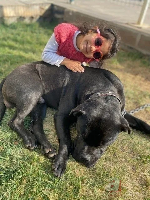 Asiye Ateş son durumu! Rektör Özkan açıkladı: Maalesef yüz felci var 3