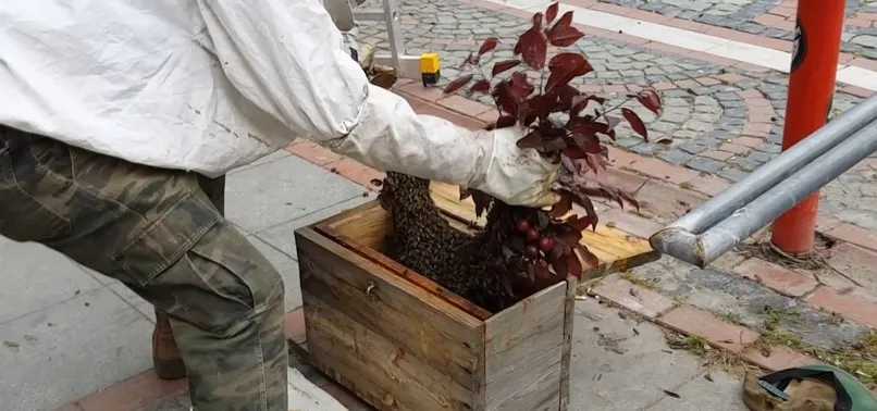 Edirne'de vatandaş kabusu yaşadı! Binlercesi aynı anda...