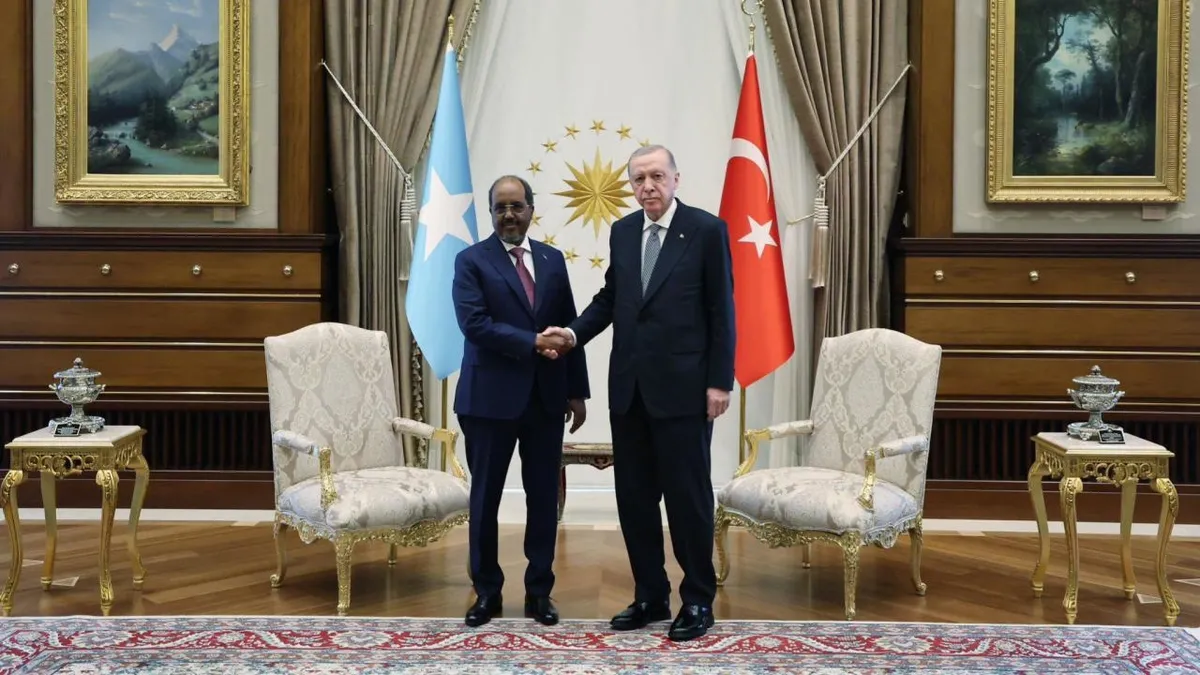 Başkan Erdoğan Somali Cumhurbaşkanı Mahmud ile görüşecek