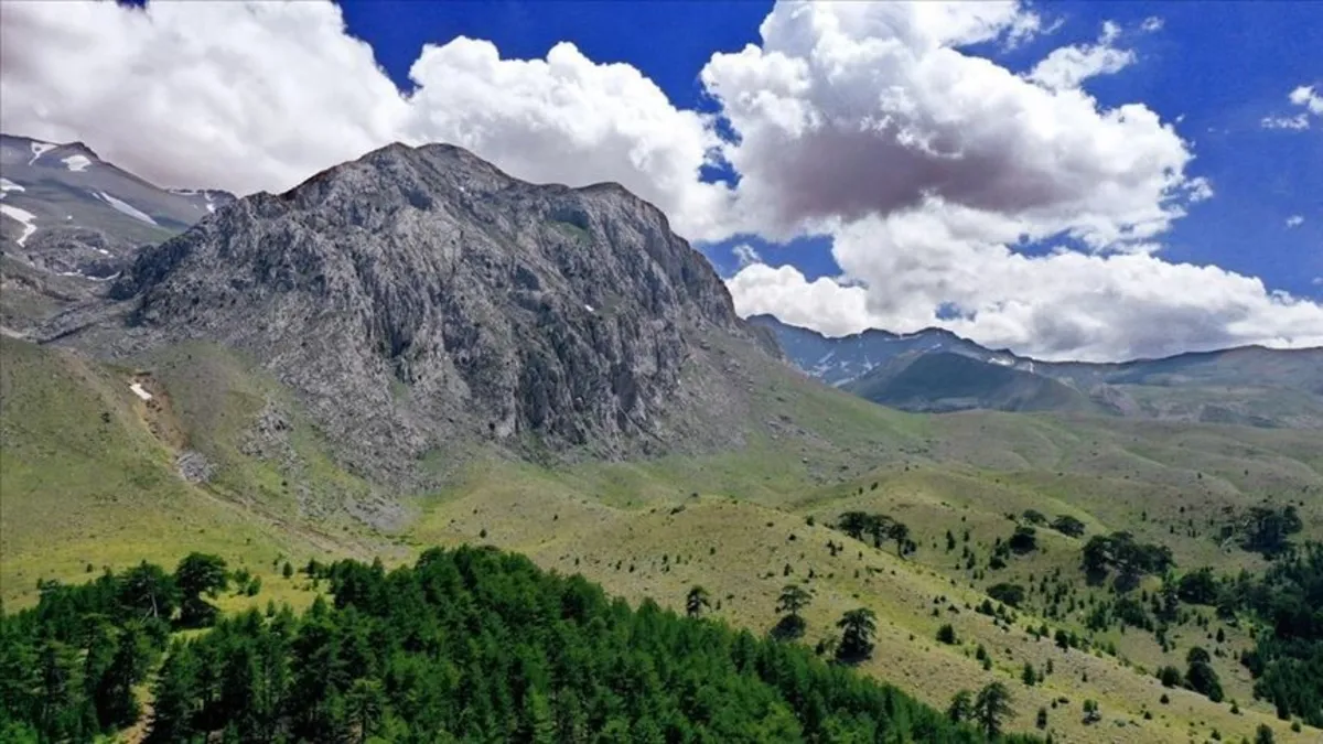 Konya'da ormana girişler yasaklandı!