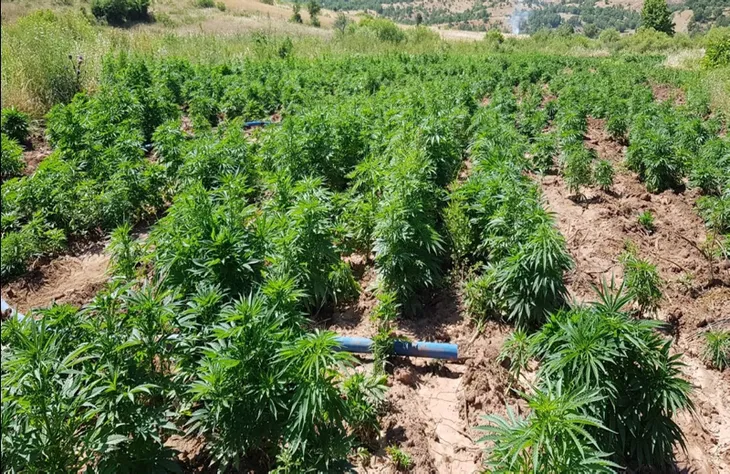 son-dakika-diyarbakirda-ev-operasyon-tek-seferde-yakalanan-en-buyuk-miktar-oldu-1592808958940.jpg Son dakika: Diyarbakır'da dev operasyon! Tek seferde yakalanan en büyük miktar oldu - 2