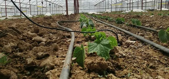 Şehirden köye dönene büyük teşvik! Resmi Gazete’de yayımlandı